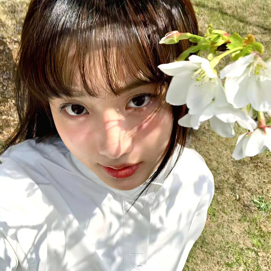春光乍泄